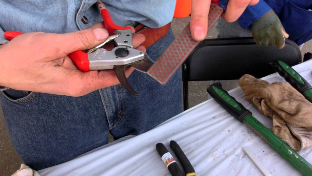 How to Sharpen Gardening Tools