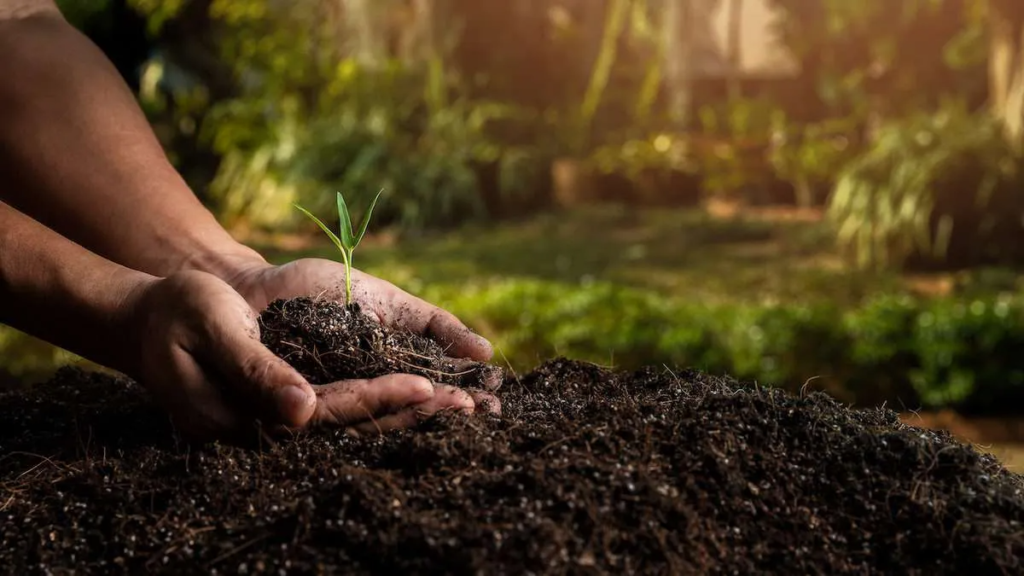 What soil is best for gardening