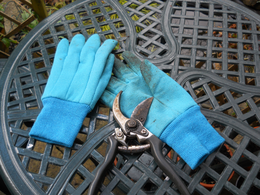 clean up operation of gardening glove