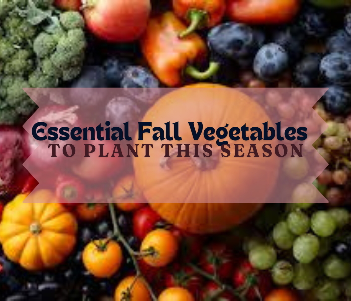 Essential Fall Vegetables To Plant This Season