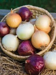 Long-Day, Intermediate-Day, And Short-Day Onions Explained